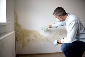 Best Airborne Mold Testing  in Hampton, AR